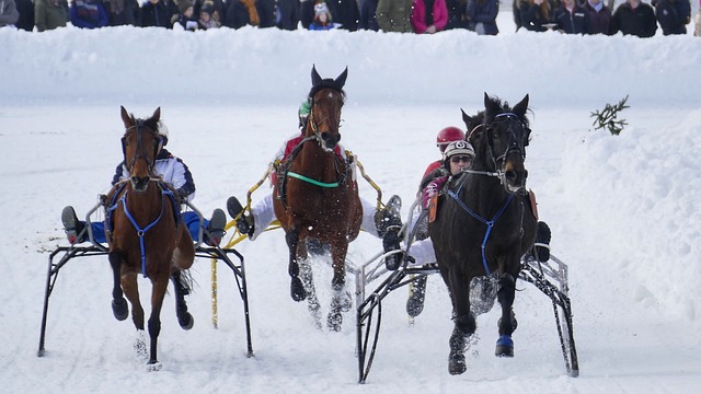 阿诺德的警 阿诺德的警