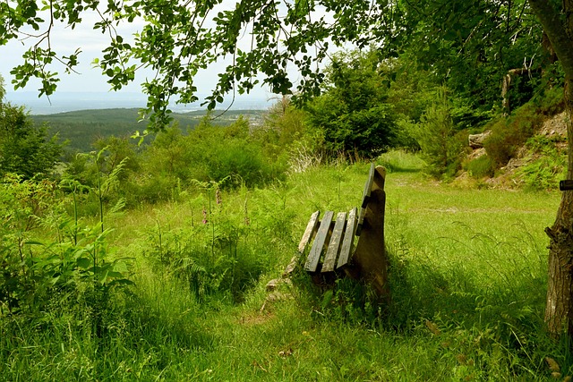 才和企业 才和企业