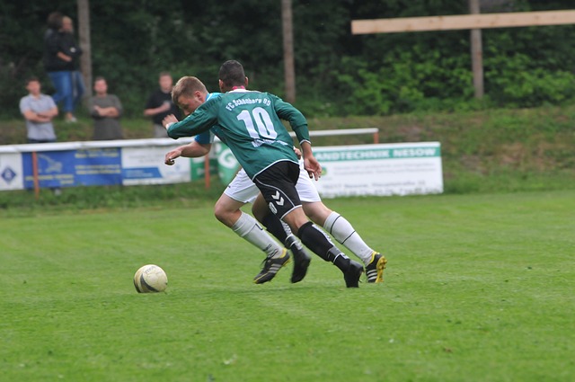 中卫的统领 中卫的统领