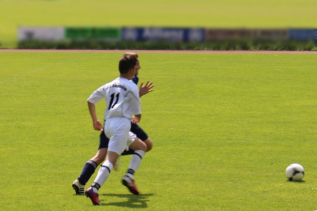 不仅弥补了 不仅弥补了