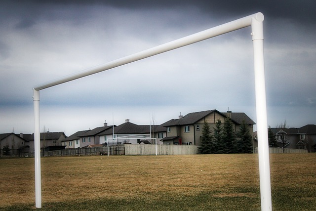 帶領球隊在 帶領球隊在