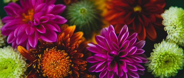 注的焦点 注的焦点