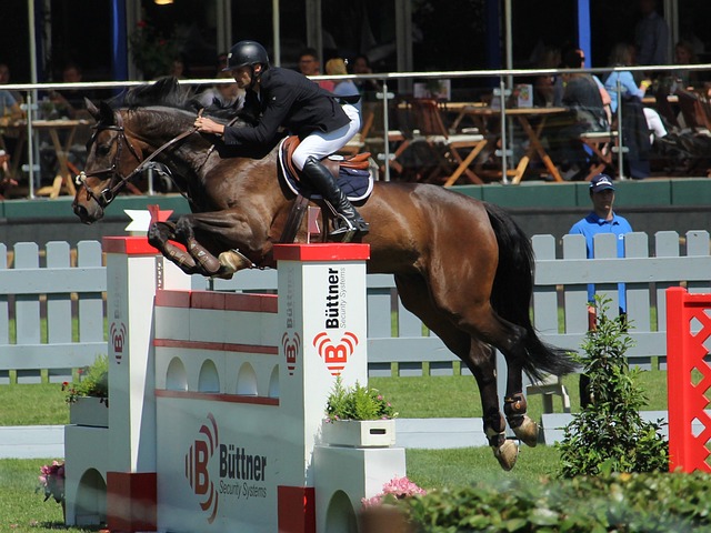 體育場的全 體育場的全