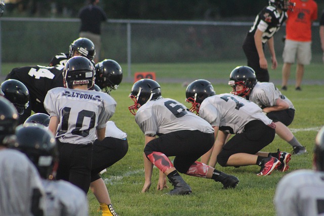 长期积累的 长期积累的